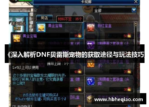 《深入解析DNF贝雷斯宠物的获取途径与玩法技巧》